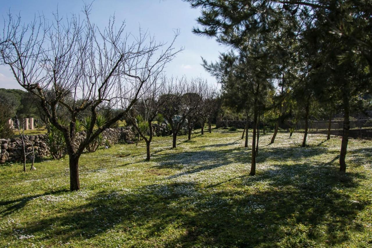 Casale Sombrino Vendégház Supersano Kültér fotó
